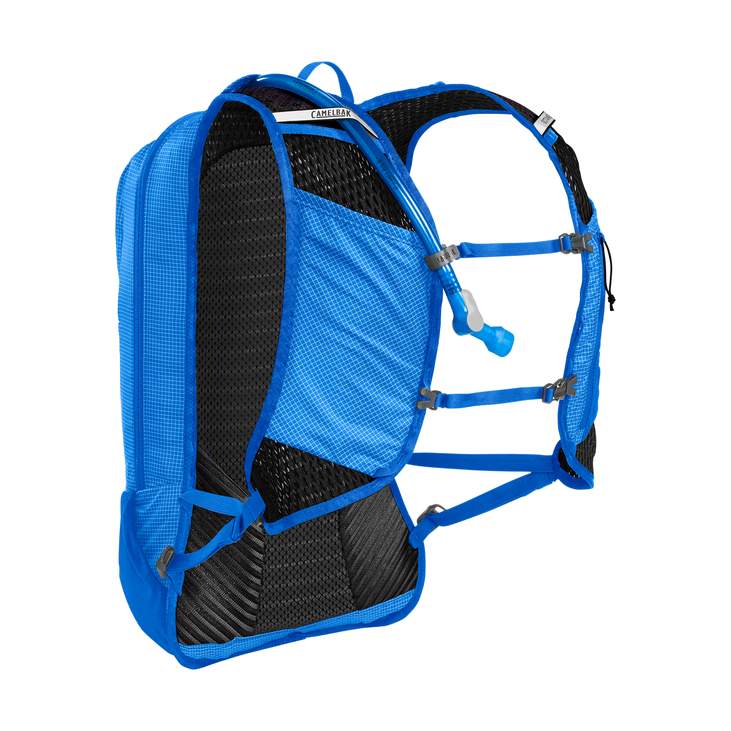 Octane 12, Fusion 2L, Royal Blue